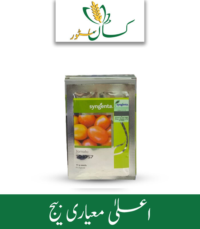 1057 Tomato Hybrid F1 Syngenta Seed Price in Pakistan