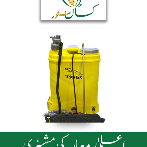 2 in 1 12V 10AMP Electric Knapsack Battery Sprayer Price in Pakistan