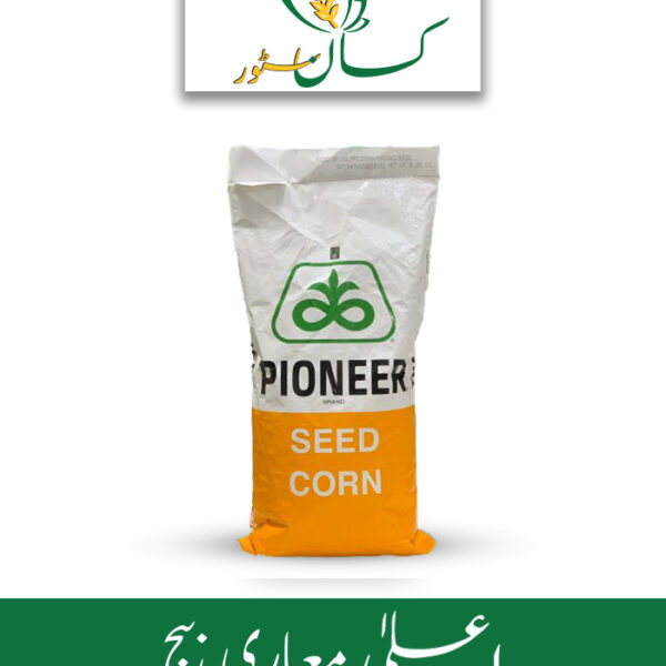 30y87 Hybrid Corn Seed Pioneer Price in Pakistan