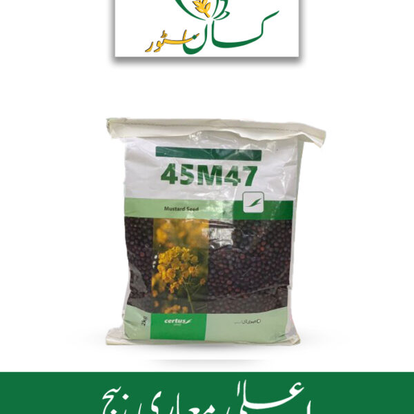 45m47 Raya Sarsoon Seed Op Evyol Group Price in Pakistan