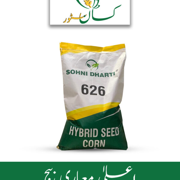 626 Hybrid Corn Seed Price in Pakistan