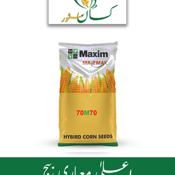 70m70 Maxim Double Cross Hybrid Silage Corn Seed Price in Pakistan