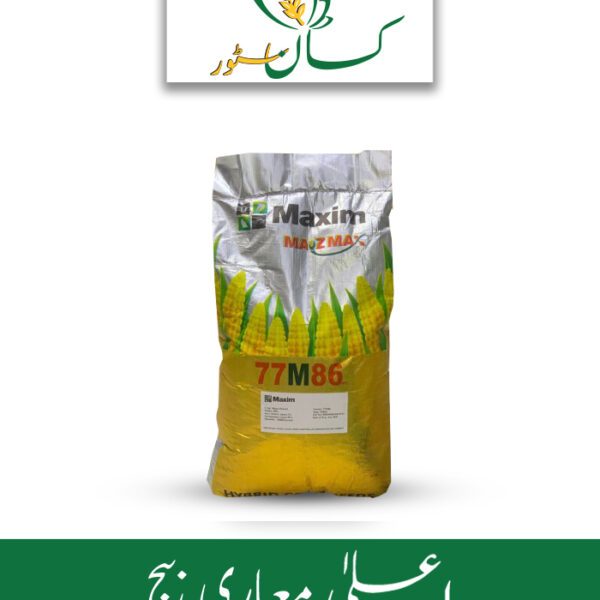 77m86 Maxim Single Cross Hybrid Grain Corn Seed Price in Pakistan