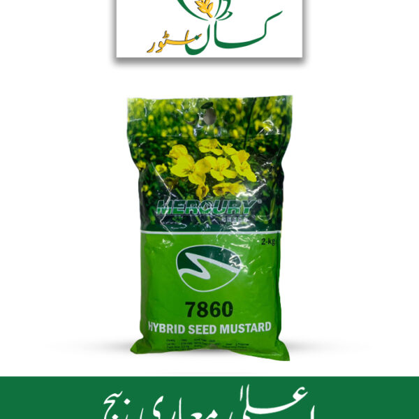 7860 Mustard F1 Hybrid Seed Price in Pakistan