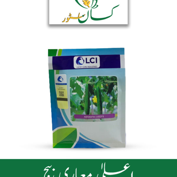 Advanta 1102 F1 Sponge Gourd ICI Pakistan Hybrid Seed Price in Pakistan