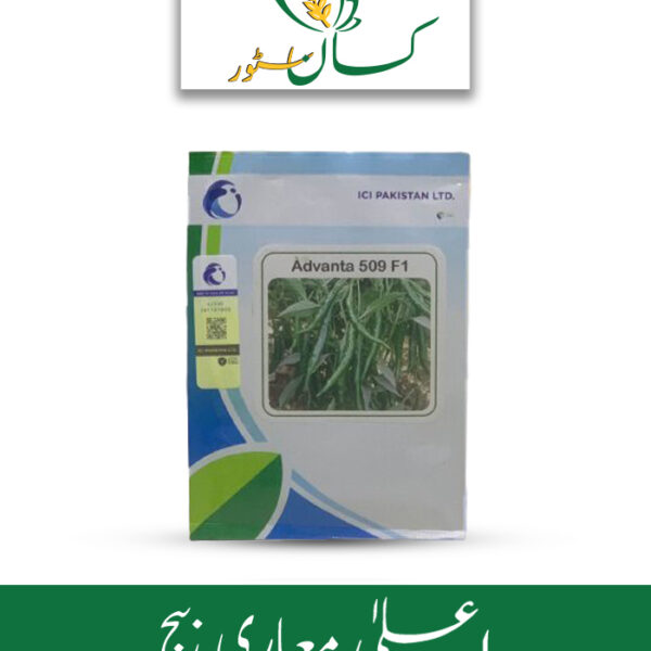 Advanta 509 Chilli F1 ICi Pakistan Hybrid Seed Price in Pakistan