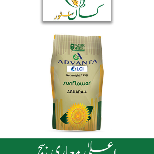 Aguara 4 Advanta ICI Pakistan Sunflower F1 Hybrid Seed Price in Pakistan