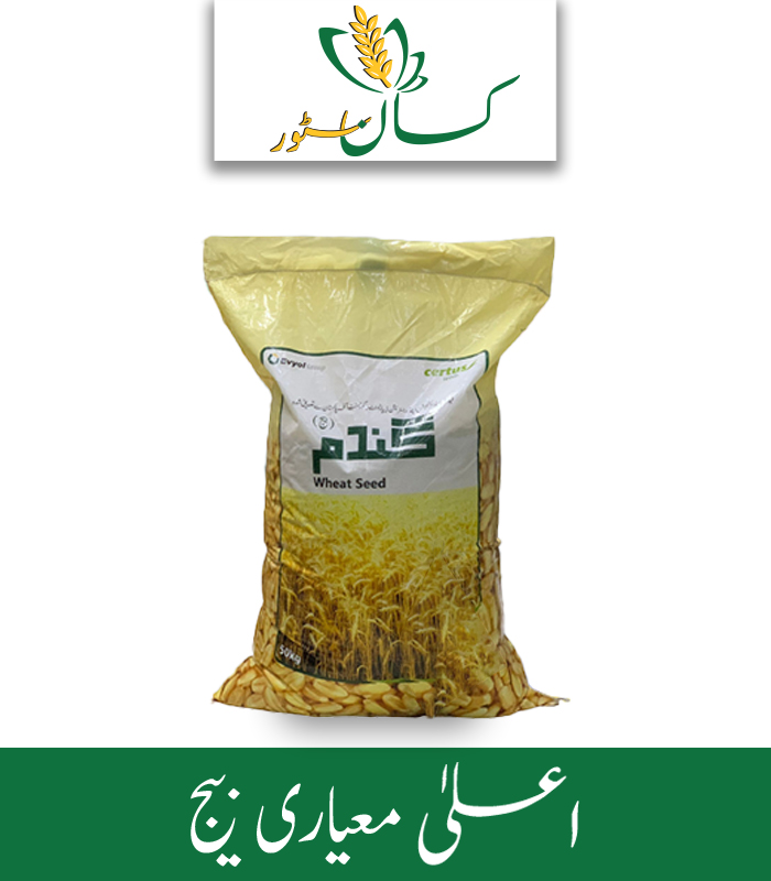 Akbar Wheat Seed Evyol Group Price in Pakistan