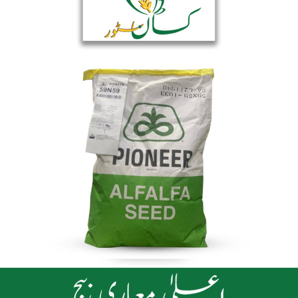 Alfalfa Pioneer Protein Rich Forage 59n59 Corteva Price in Pakistan