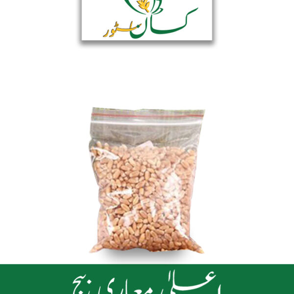 Australian Wheat Seed Global Products Price in Pakistan