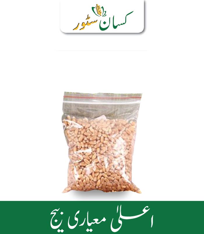Australian Wheat Seed Global Products Price in Pakistan - Kissan Store Australian Wheat Seed Global Products Price in Pakistan
