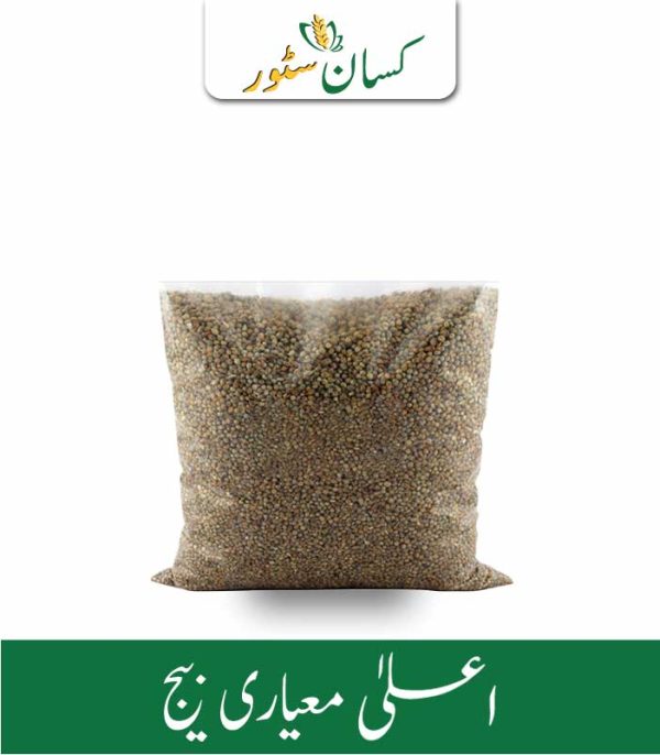 Bajra 500gm Long Grain Bajra - Kissan Store