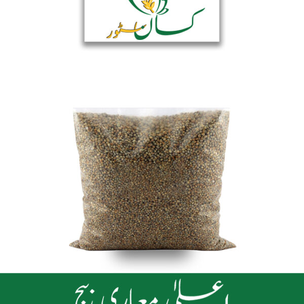 Bajra Long Grain Price in Pakistan
