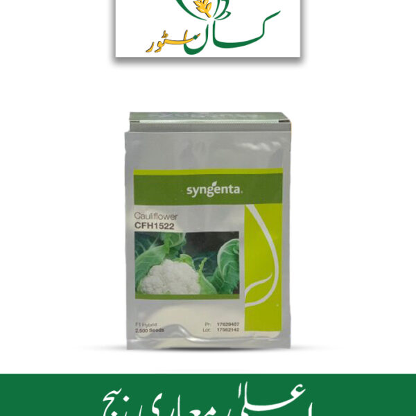 CFH 1522 F1 Hybrid Cauliflower Syngenta Seed Price in Pakistan