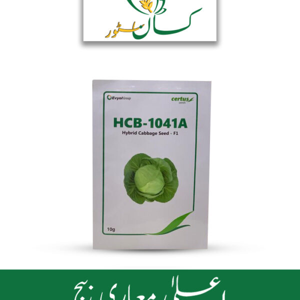 Cabbage Seed Hybrid F1 Hcb - 1041a Evyol Group Price in Pakistan