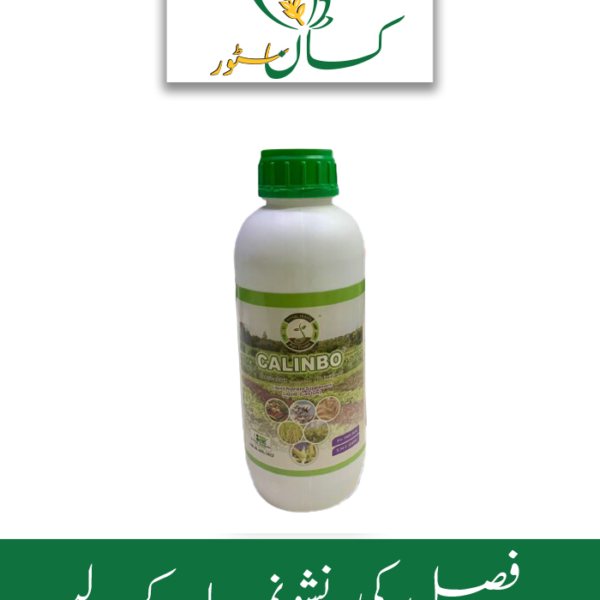 Calinbo Calcium 10wv Price in Pakistan