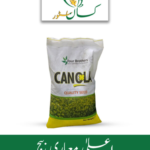 Canola Mustard Seed Sarsoon Beej Four Brothers Price in Pakistan