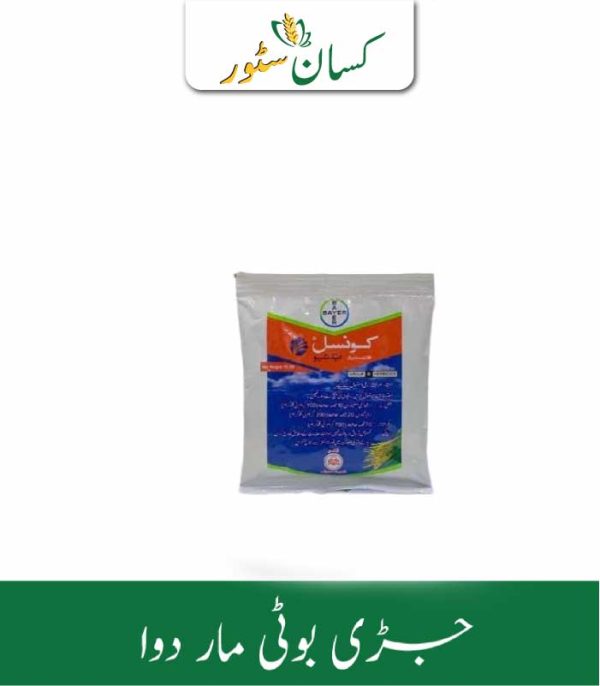 Council Activ Price in Pakistan - Kissan Store