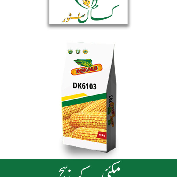 DK6103 Bayer Price in Pakistan - kissanstore.pk