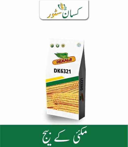 DK6321 10kg Bayer Dekalb Hybrid Corn Seed Price in Pakistan