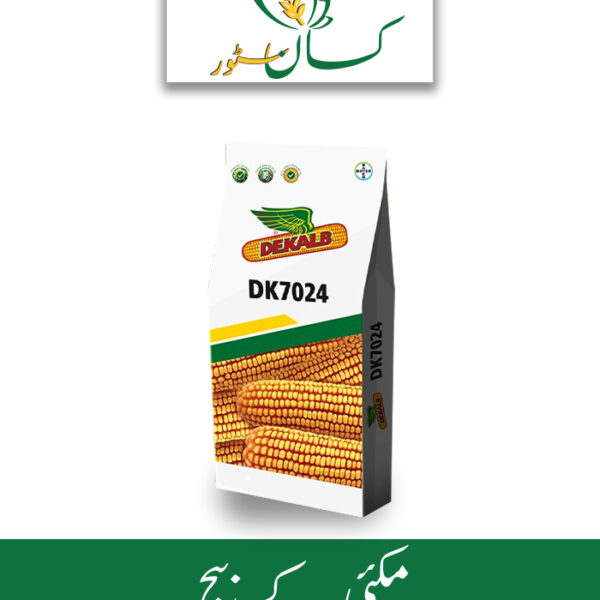 DK7024 Bayer Price in Pakistan - kissanstore.pk