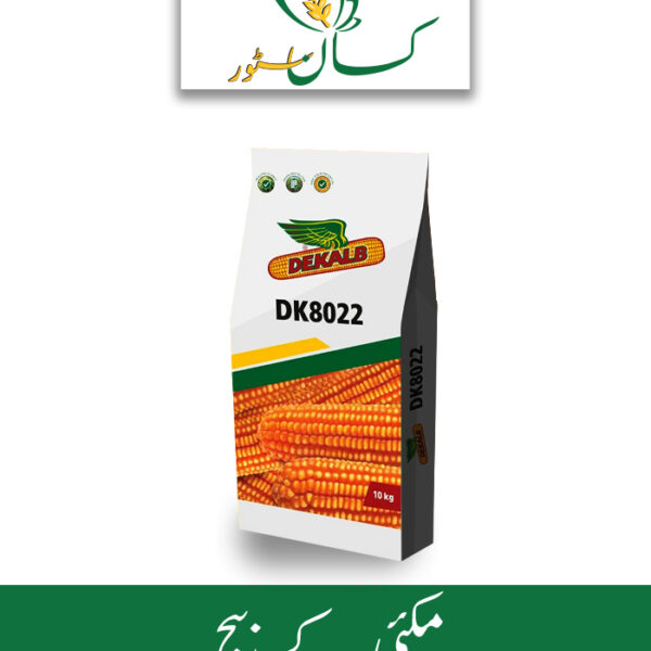 DK8022 Bayer Price in Pakistan - kissanstore.pk