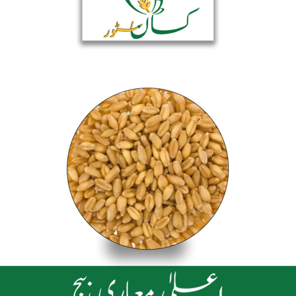DWB 187 Indian Wheat Seed Kisan Aarrth Price in Pakistan