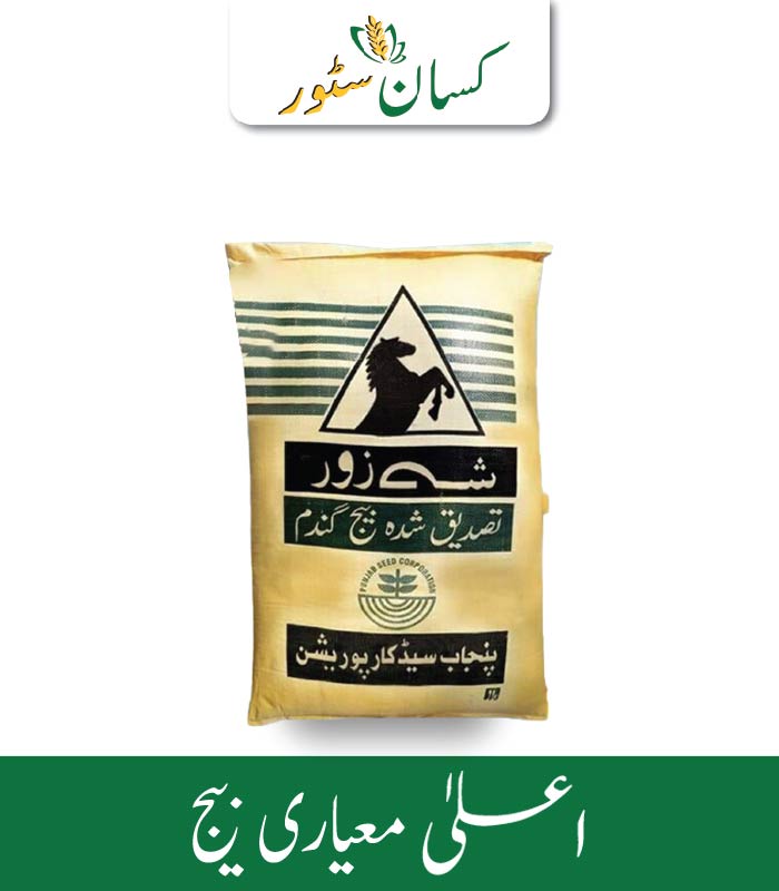 Dilkash Wheat Seed Punjab Seed Corporation Price in Pakistan
