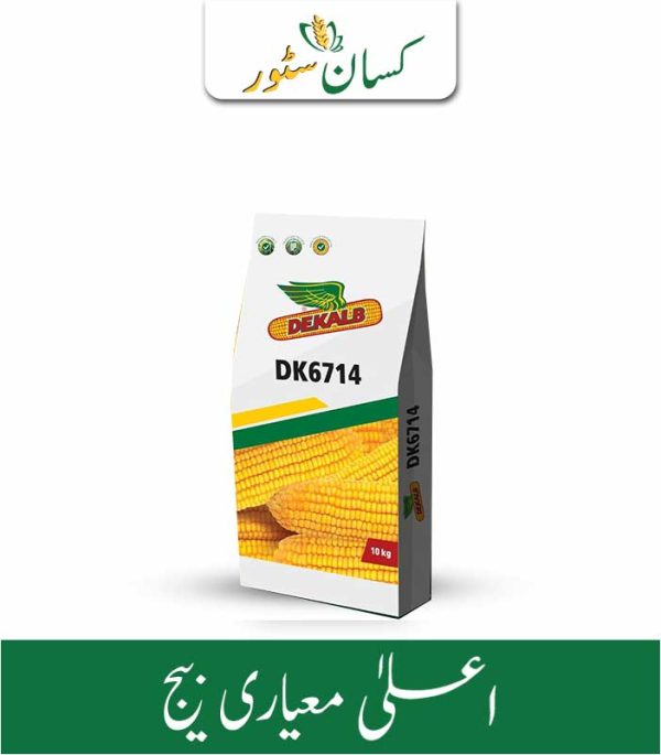Dk 6714 Hybrid Corn Seed 10kg Monsanto Dekalb Bayer Maize Seeds - Kissan Store