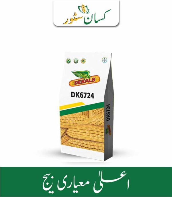Dk 6724 Hybrid Corn Seeds Bayer Price in Pakistan - Kissan Store