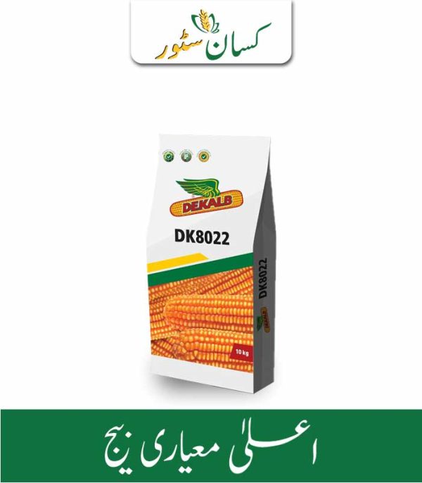 Dk 8022 Hybrid Bayer Seeds Price in Pakistan - Kissan Store