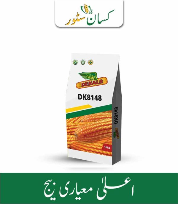 Dk8148 Hybrid Corn Seed 10kg Monsanto Dekalb Bayer Maize Seeds - Kissan Store