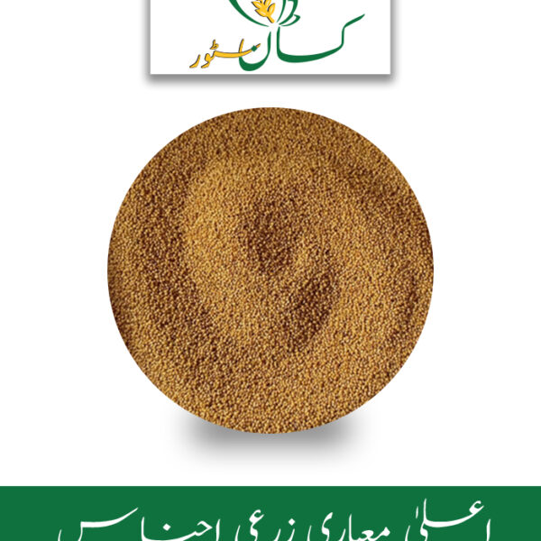 Farmi Berseem Egyptian Clover Seed Price in Pakistan