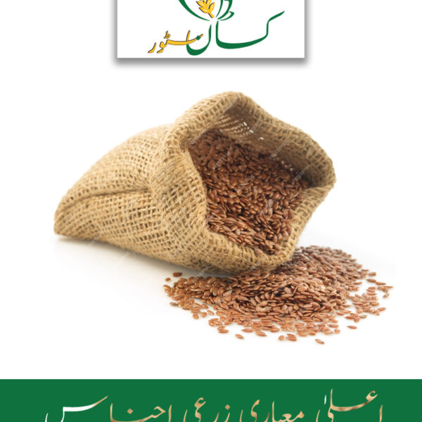 Flax Seed Alsi Alasi Seed 1kg Price in Pakistan