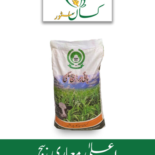 Gacha Makai Corn Seed Price in Pakistan