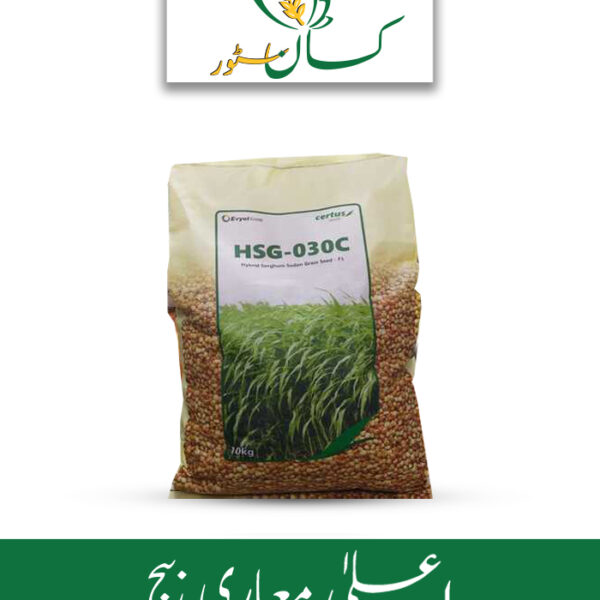 HSG 030c Hybrid Sorghum Sudan Grass Seed F1 Price in Pakistan