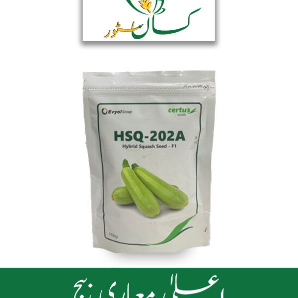 HSQ 202A Hybrid Squash Seed F1 Evyol Group Price in Pakistan