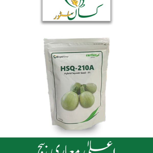 HSQ 210A Hybrid Squash Seed F1 Evyol Group Price in Pakistan