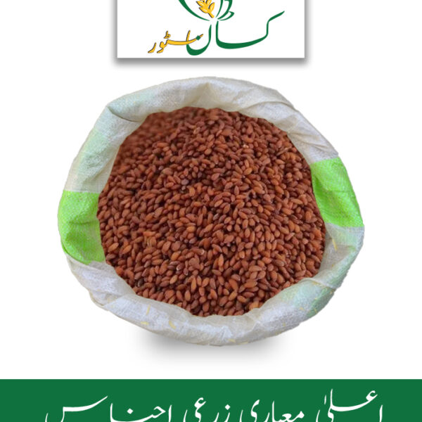 Halya Seed 1kg Asaliya Halim Seed Price in Pakistan