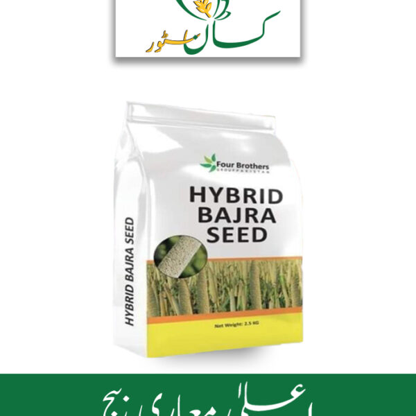 Hybrid Bajra 86m84 Variety Indian Source Price in Pakistan