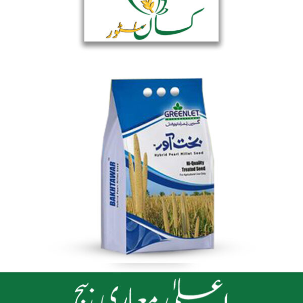 Hybrid Bajra Seed Pearl Millet Bakhtawar F1 Price in Pakistan
