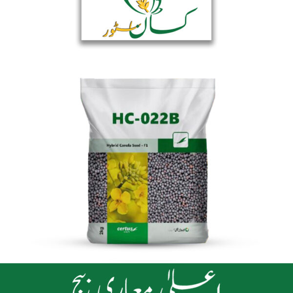Hybrid Canola Seed F1 HC 022B Evyol Group Price in Pakistan