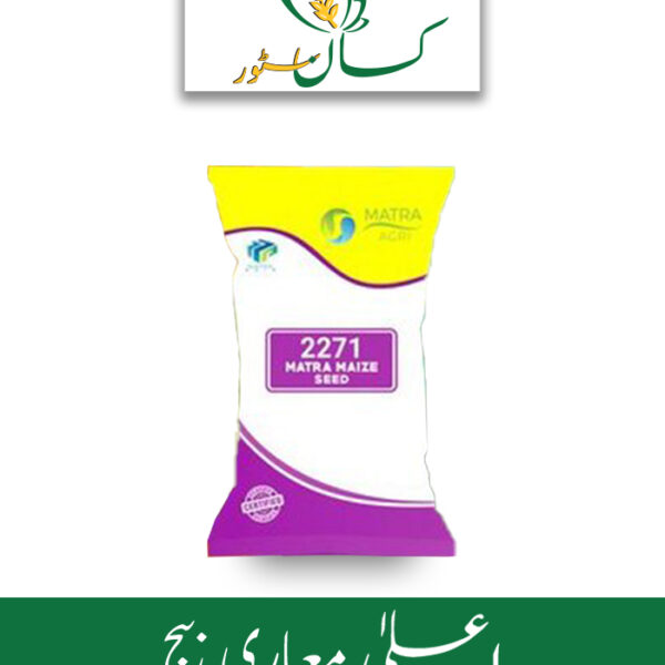 Hybrid Corn Seed 2271 Maize Seed Price in Pakistan