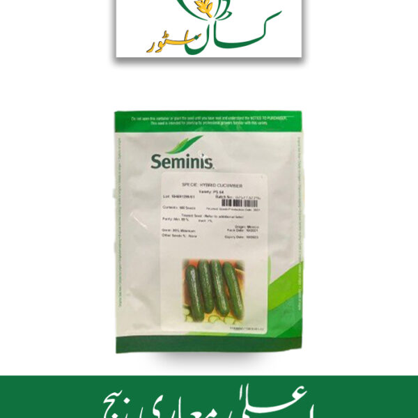 Hybrid Cucumber PS 64 F1 Seed Price in Pakistan
