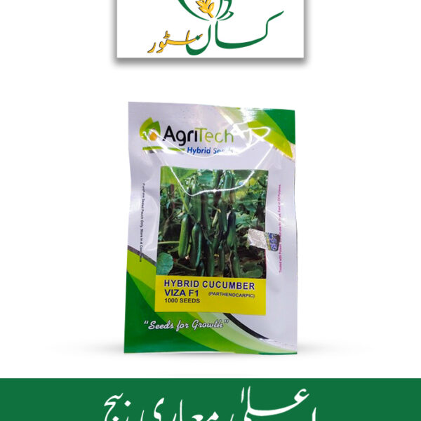 Hybrid Cucumber Viza F1 (Parthenocarpic) Seed Price in Pakistan