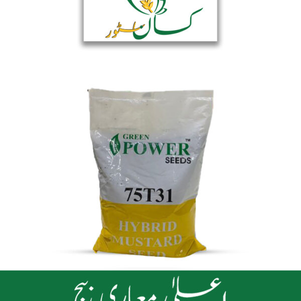 Hybrid Mustard Seed F1 75t31 Price in Pakistan