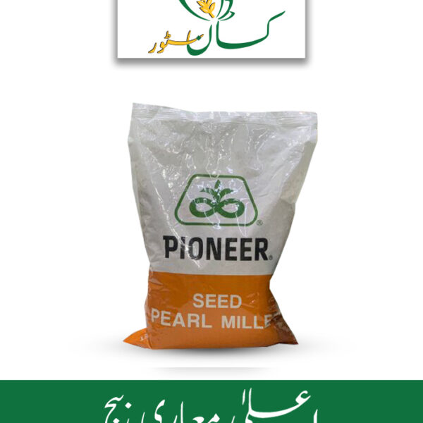 Hybrid Pearl Millet Seed 86m84 Pioneer Seed Price in Pakistan