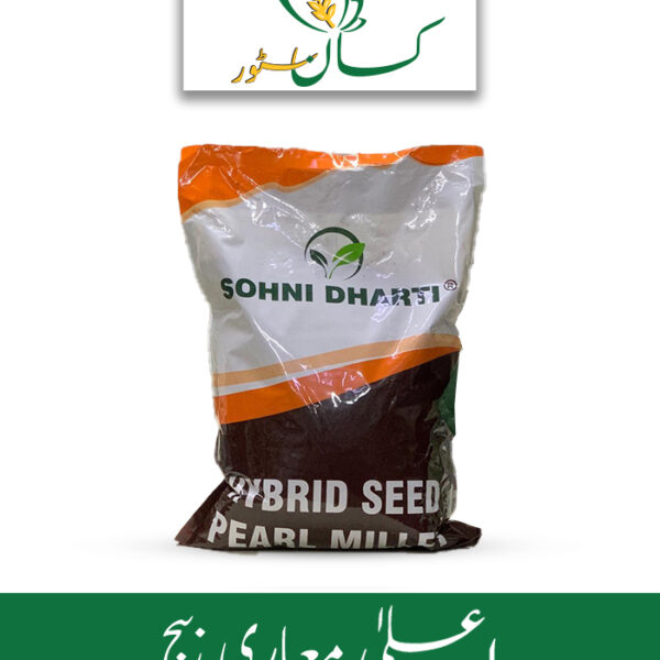 Hybrid Seed Pakkawan Bajra 55s90 55s20 Seed Price in Pakistan