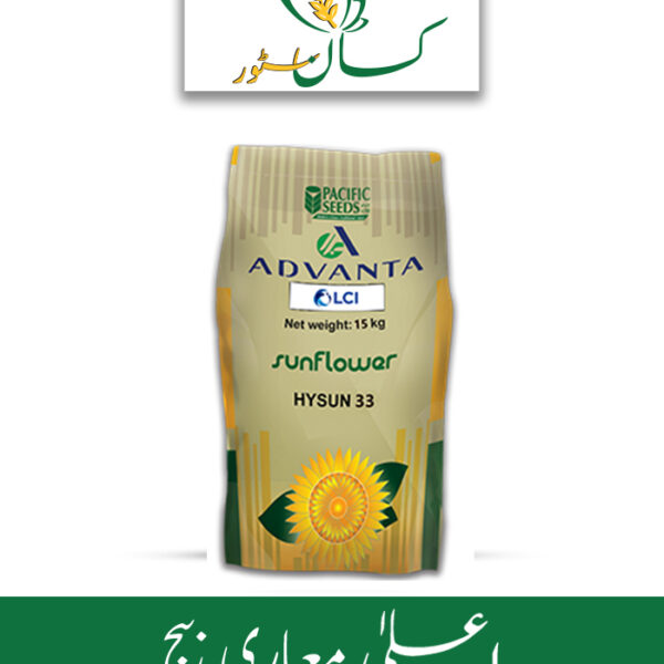 Hysun 33 Advanta ICI Pakistan Sunflower Hybrid Seed Price in Pakistan