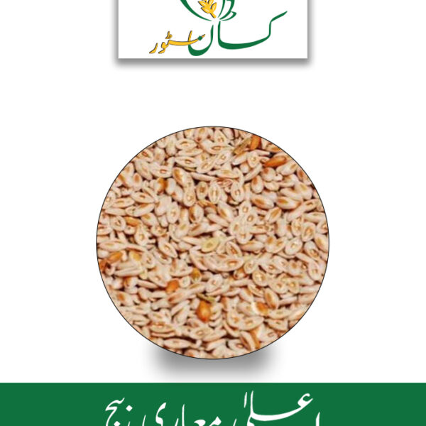 Ispagol Indian Seed Kisan Aarrth Price in Pakistan